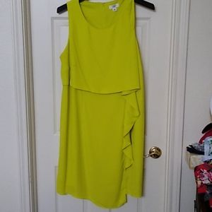 Vibrant Lime Green Eye Catcher.